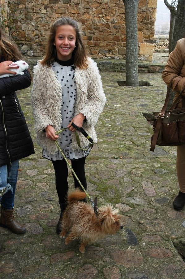 El municipio salió en procesión y bendijo a los animales
