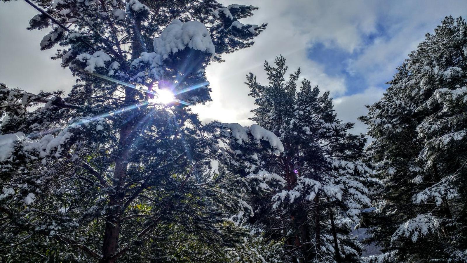 La nieve vuelve al Rasillo