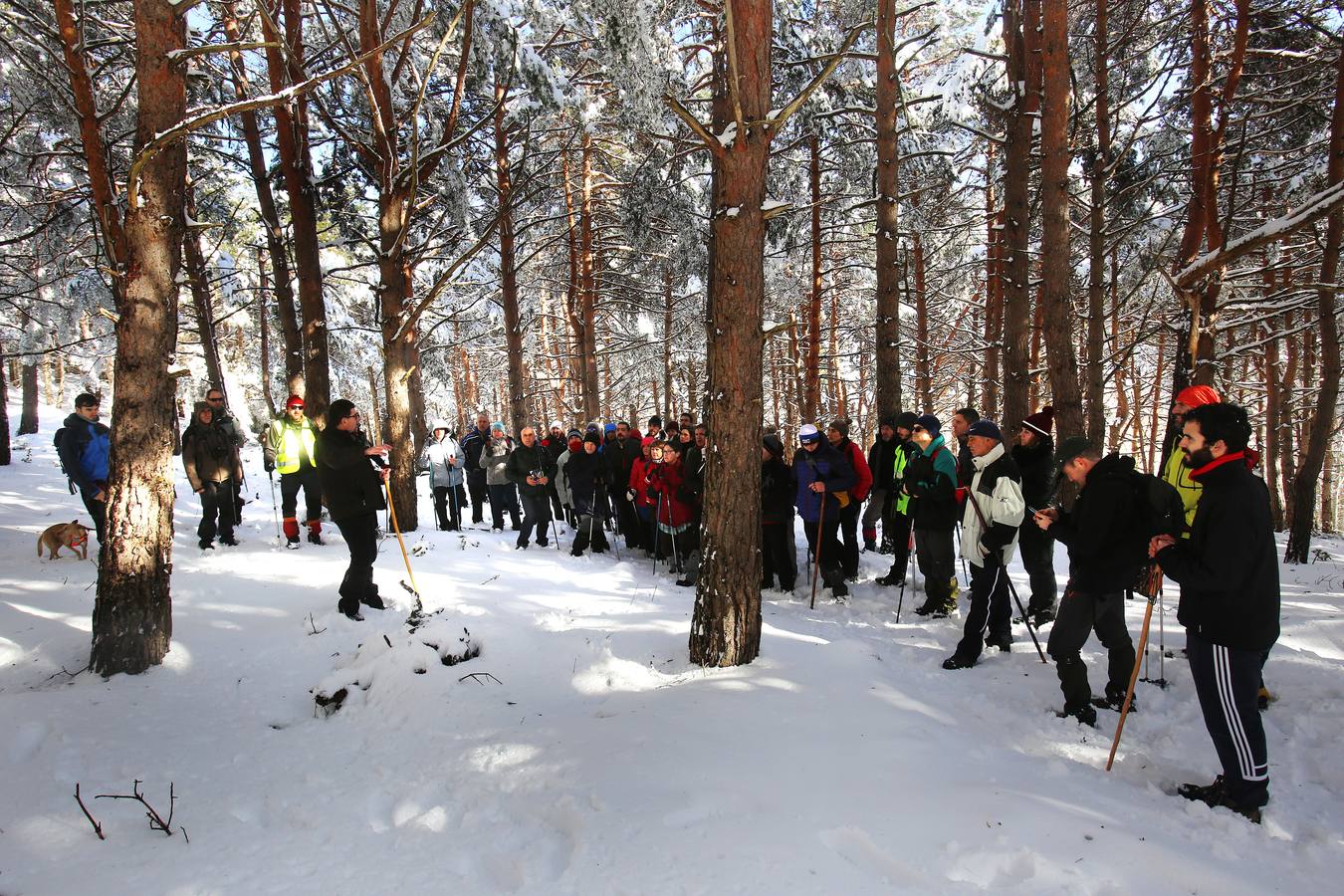 Se ha realizado una demostración de cómo se hacía el llenado de las Neveras en la antigüedad y se ha degustado un granizado de vino y unas patatas con chorizo