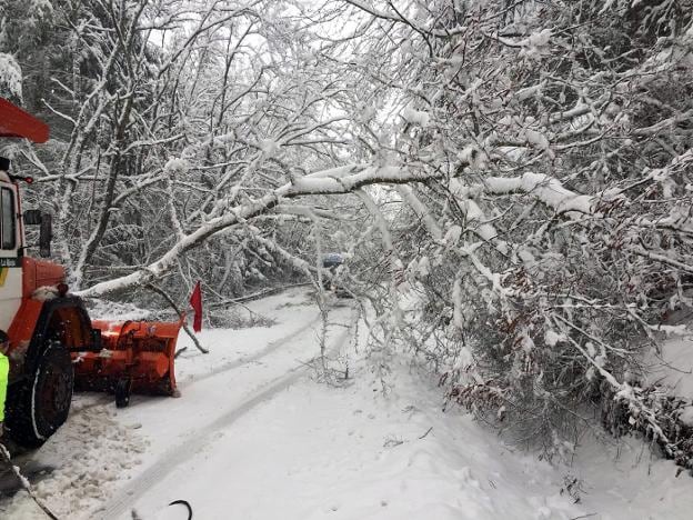 La nieve tumbó dos árboles en la carretera de acceso a Valdezcaray. :: twitter de carlos yécora