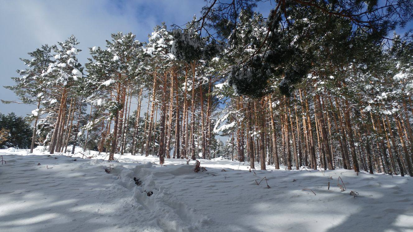 Imágenes de varios puntos de La Rioja cubiertos de nieve.