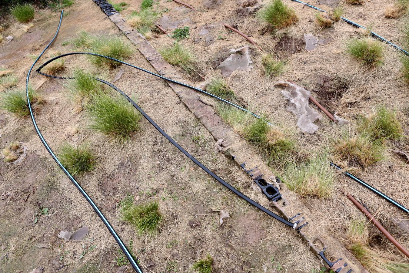 El parque sobre la estación de tren de Logroño acumula daños y destrozos por actos vandálicos en el equipamiento urbano