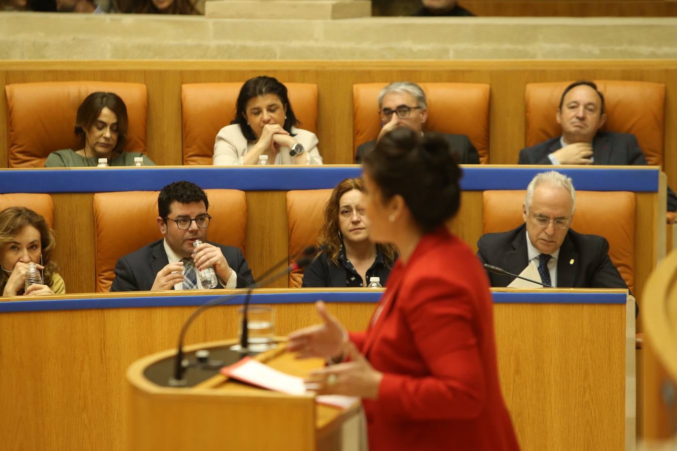 Las mejores imágenes que ha dejado el pleno del Parlamento riojano, en el que el PP ha sacado adelante la Ley de tauromaquia con la abstención (por error) de Podemos 