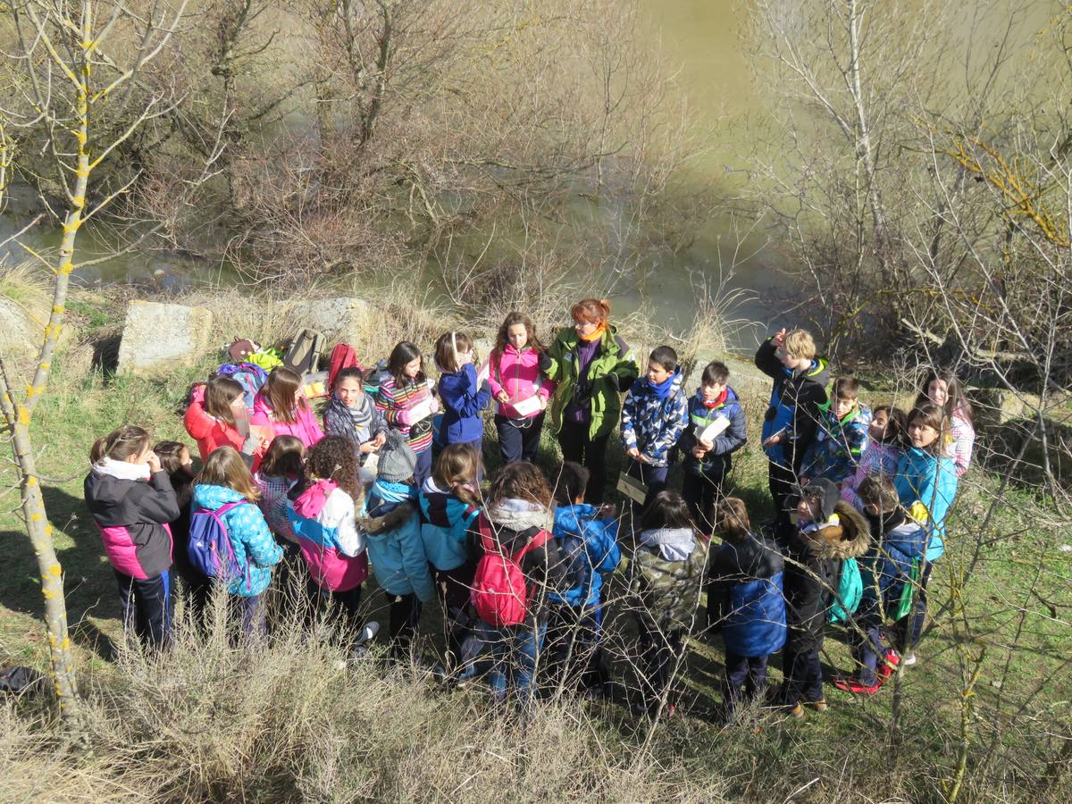 Tres colegios de Alfaro han participado en el programa educativo Regeneremos los Sotos