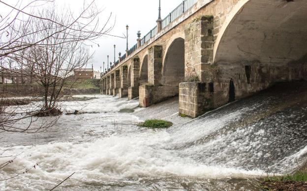 El río Oja, ayer a su paso por Santo Domingo. 