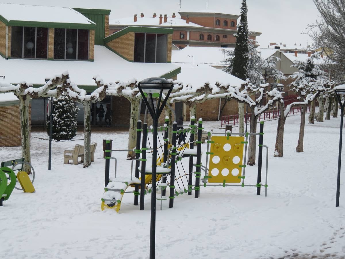 El temporal de nieve en LA Rioja ha dejado preciosas estampas, como estas de Alfaro en las que las cigüeñas han tenido un protagonismo especial