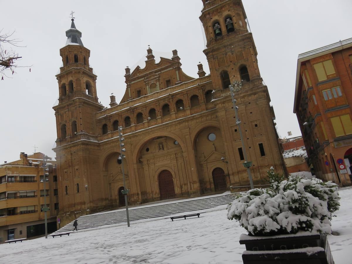 El temporal de nieve en LA Rioja ha dejado preciosas estampas, como estas de Alfaro en las que las cigüeñas han tenido un protagonismo especial