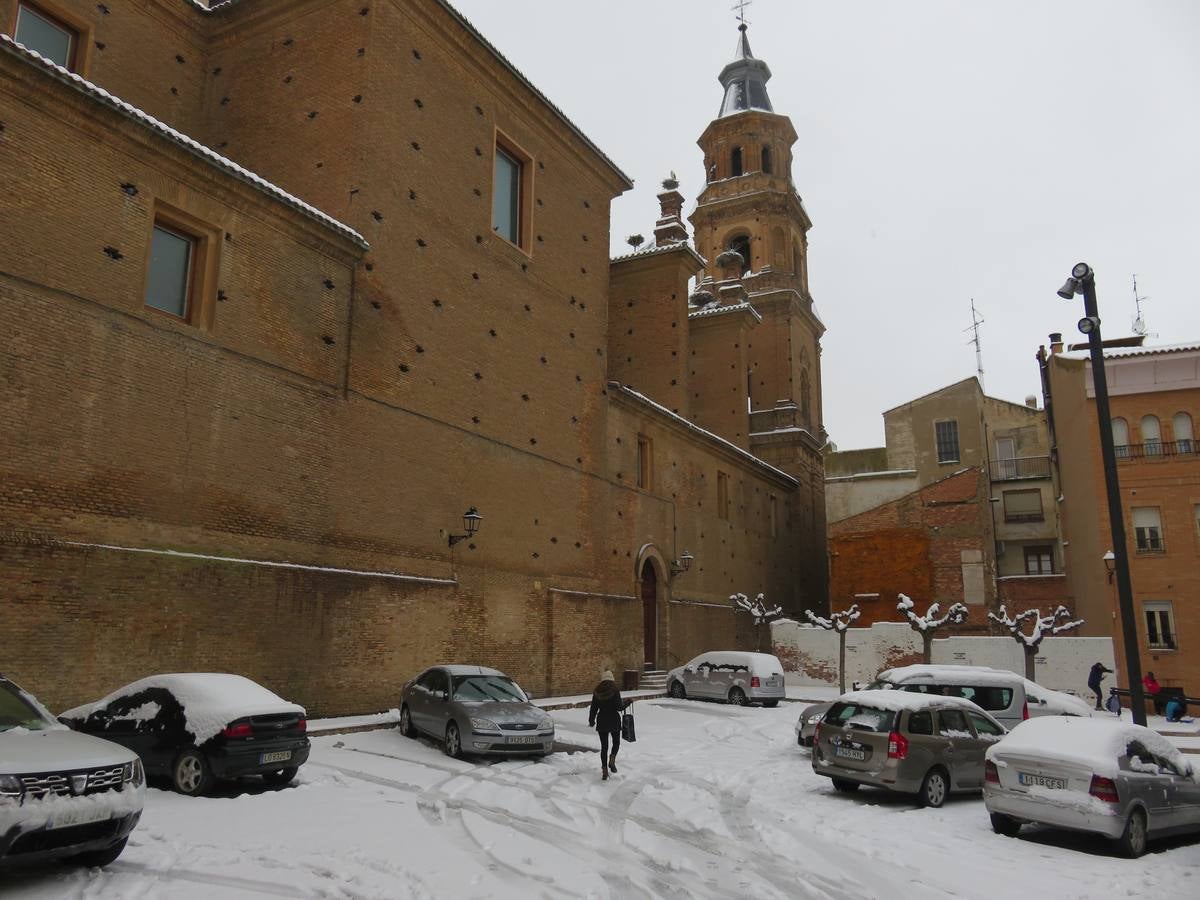 El temporal de nieve en LA Rioja ha dejado preciosas estampas, como estas de Alfaro en las que las cigüeñas han tenido un protagonismo especial