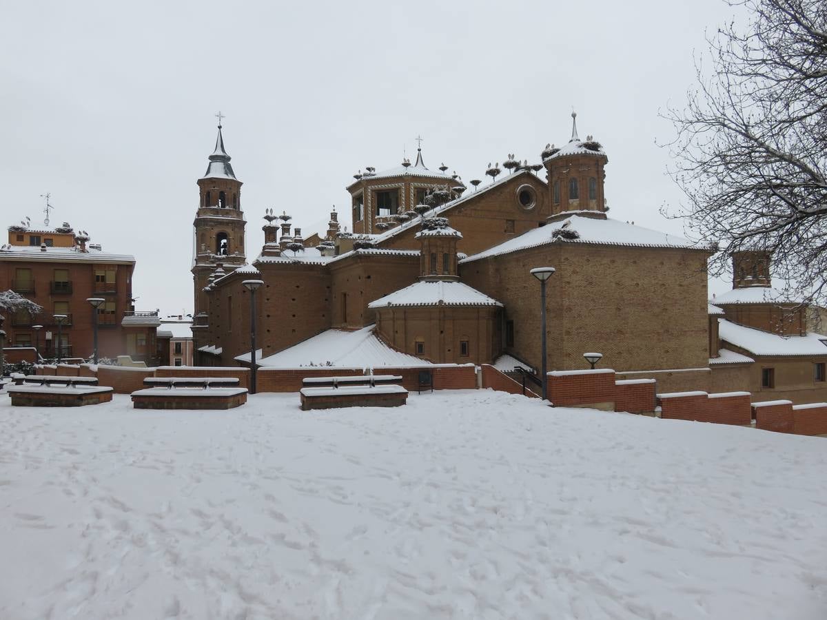 El temporal de nieve en LA Rioja ha dejado preciosas estampas, como estas de Alfaro en las que las cigüeñas han tenido un protagonismo especial