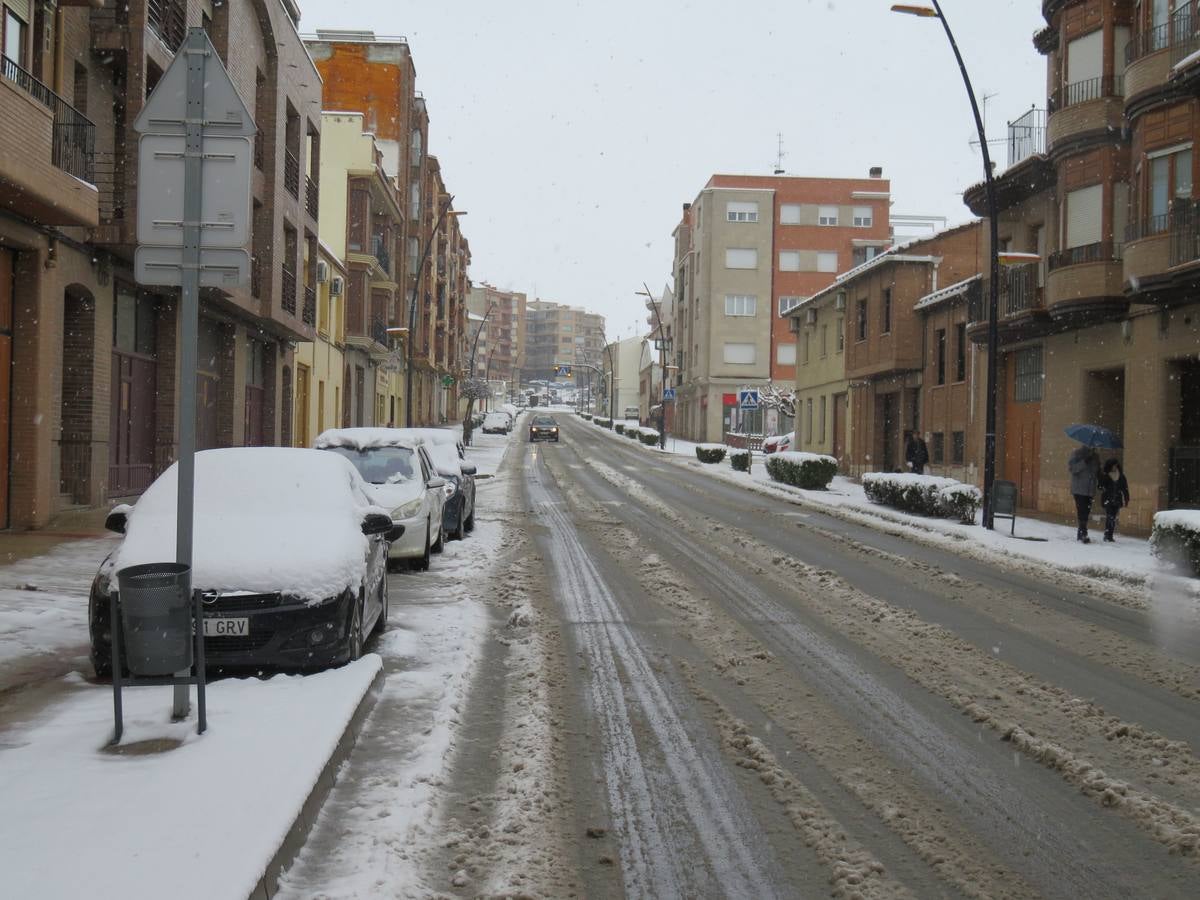 El temporal de nieve en LA Rioja ha dejado preciosas estampas, como estas de Alfaro en las que las cigüeñas han tenido un protagonismo especial