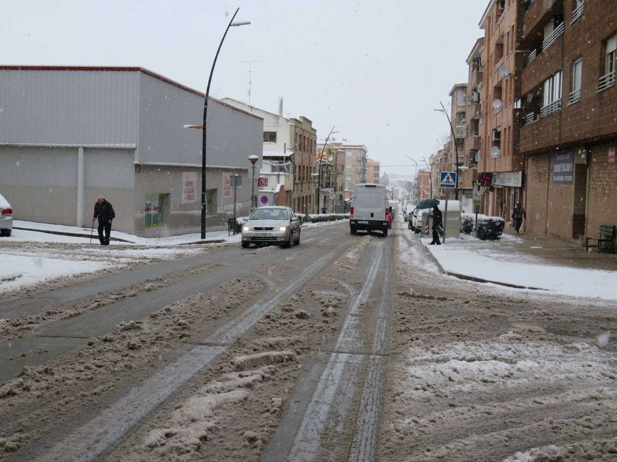 El temporal de nieve en LA Rioja ha dejado preciosas estampas, como estas de Alfaro en las que las cigüeñas han tenido un protagonismo especial