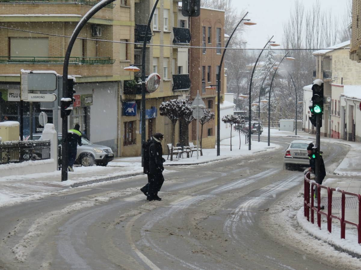 El temporal de nieve en LA Rioja ha dejado preciosas estampas, como estas de Alfaro en las que las cigüeñas han tenido un protagonismo especial