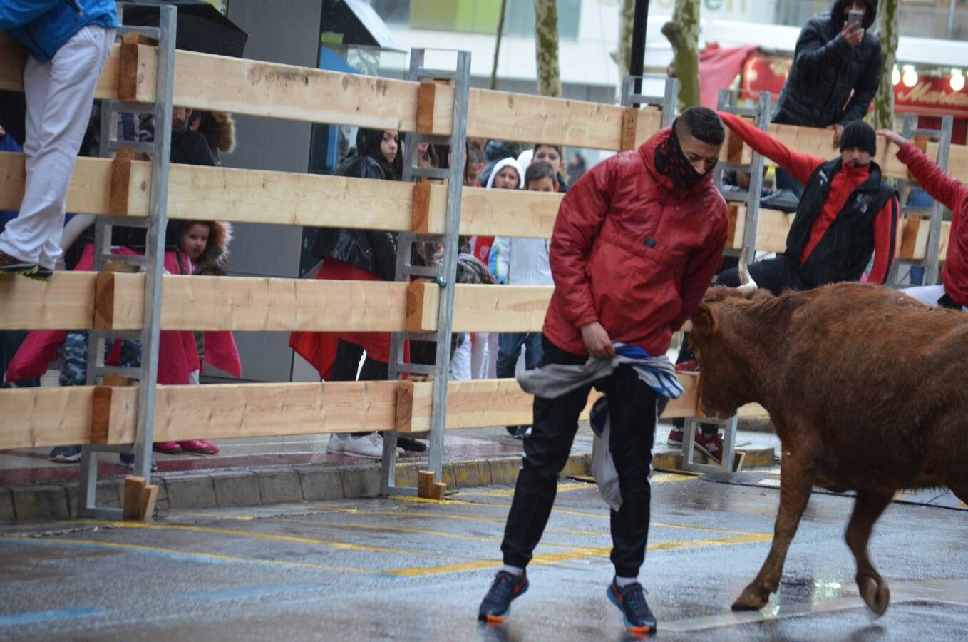 Al chupinazo celebrado por la mañana le siguió por la tarde el primer encierro de reses bravas. Sólo los más ‘valientes’ se atrevieron con el espectáculo. Y es que había que armarse de valor para soportar el frío y la lluvia que se apropiaron de la tarde en Calahorra. Al final, con gorros y paraguas, los aficionados disfrutaron de las vacas en la calle y de los saltos y quiebros de los recortadores en la plaza. Antes de la exhibición se guardó un minuto de silencio por el calagurritano Chema García, fallecido esta semana y gran aficionado al mundo taurino, y en especial a los encierros. 