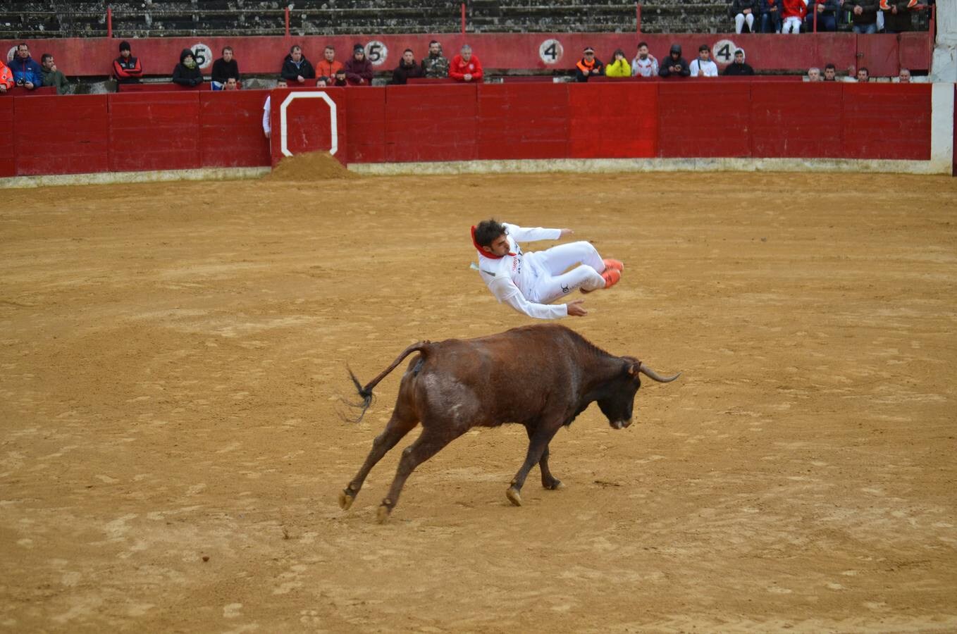 Al chupinazo celebrado por la mañana le siguió por la tarde el primer encierro de reses bravas. Sólo los más ‘valientes’ se atrevieron con el espectáculo. Y es que había que armarse de valor para soportar el frío y la lluvia que se apropiaron de la tarde en Calahorra. Al final, con gorros y paraguas, los aficionados disfrutaron de las vacas en la calle y de los saltos y quiebros de los recortadores en la plaza. Antes de la exhibición se guardó un minuto de silencio por el calagurritano Chema García, fallecido esta semana y gran aficionado al mundo taurino, y en especial a los encierros. 