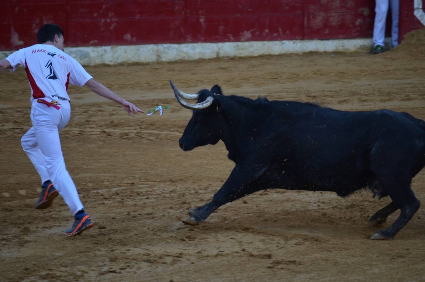 Este sábado, los calagurritanos pudieron disfrutar de la precisión y el riesgo en el concurso de anillas de la plaza