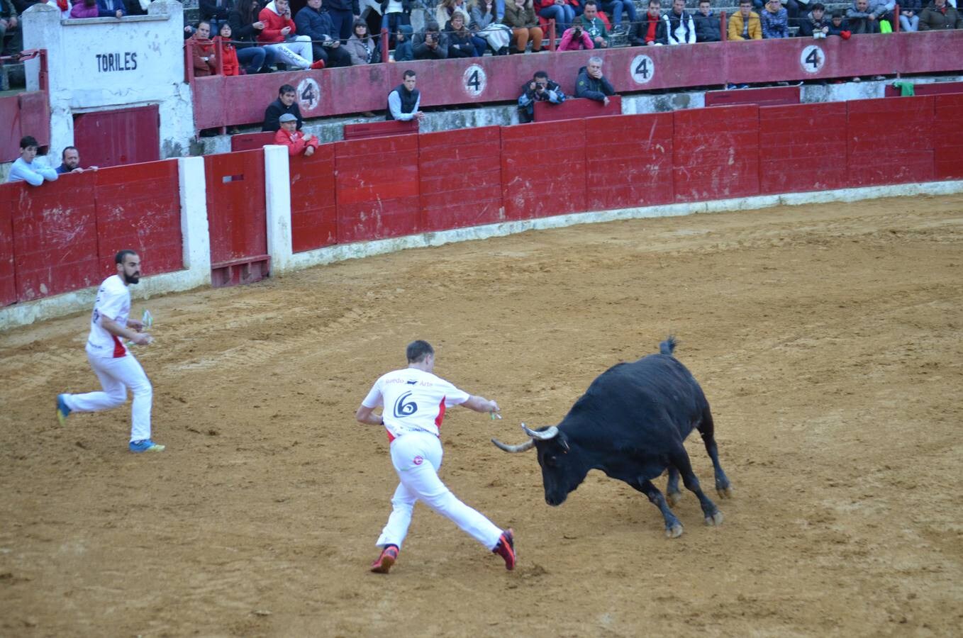 Este sábado, los calagurritanos pudieron disfrutar de la precisión y el riesgo en el concurso de anillas de la plaza