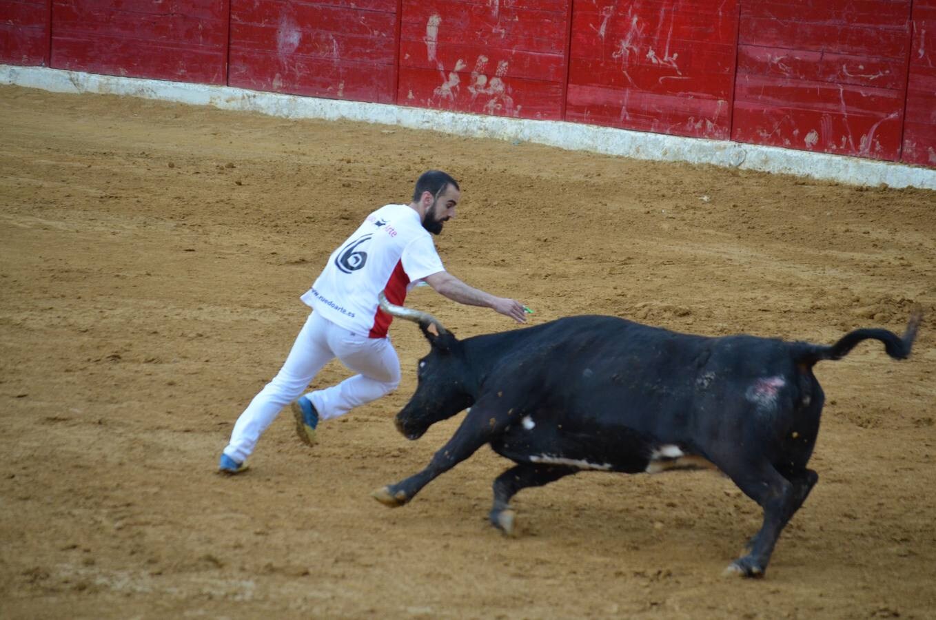 Este sábado, los calagurritanos pudieron disfrutar de la precisión y el riesgo en el concurso de anillas de la plaza