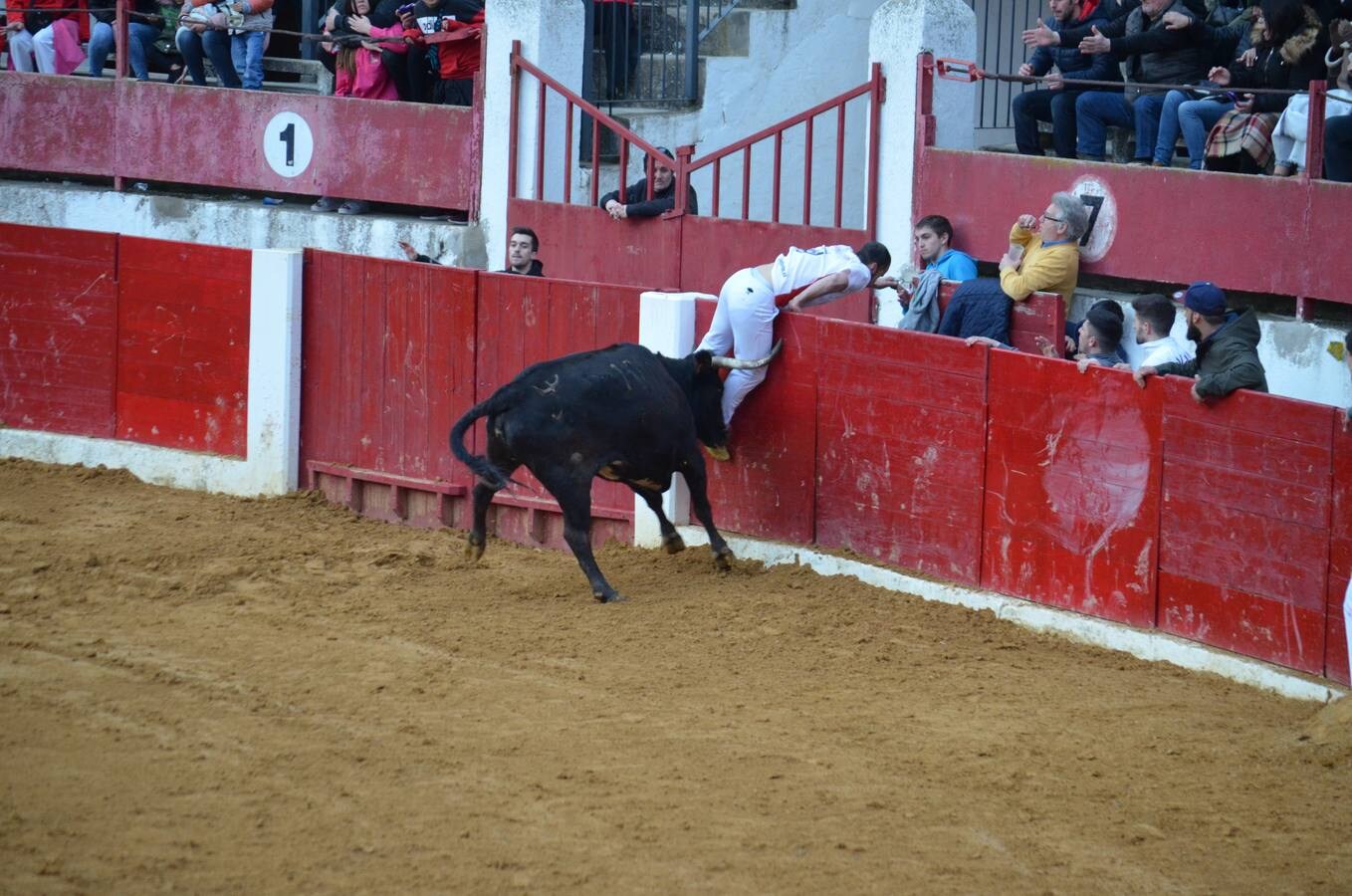 Este sábado, los calagurritanos pudieron disfrutar de la precisión y el riesgo en el concurso de anillas de la plaza