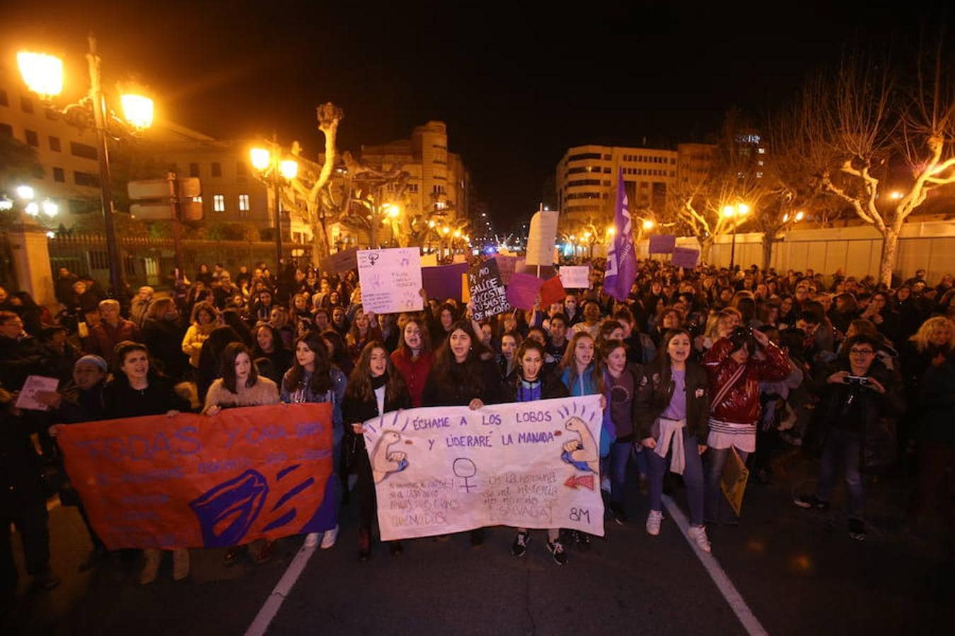 Logroño ha vivido una multitudinaria exhibición de solidaridad y respuesta contra la discriminación femenina en el Día Internacional de la Mujer. Mujeres de toda edad y condición salieron a la calle en repulsa contra cualquier tipo de exclusión por razones de sexo.