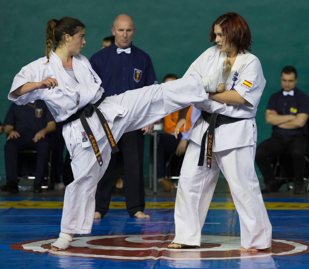 Más de 200 karatekas participaron ayer en el Campeonato de España de shinkyokushinkai.