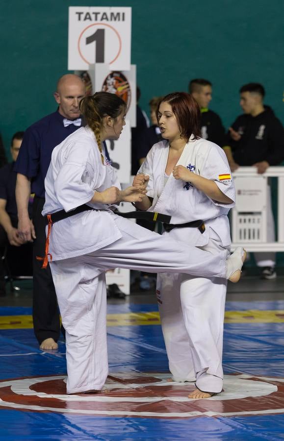 Más de 200 karatekas participaron ayer en el Campeonato de España de shinkyokushinkai.