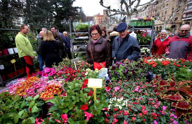 El Espolón se convirtió en un gran vivero que ofertó todo tipo de flores y árboles. :: jonathan herrerosEl paseo del Espolón acogió en la mañana de ayer la undécima edición de la Feria de Semillas y Viveros que organiza la Fundación Caja Rioja y Bankia. En la muestra, muy concurrida de público, participaron siete viveros de Alberite, Alfaro, Logroño, Nalda y Navarrete que ofrecieron todo tipo de plantas. 