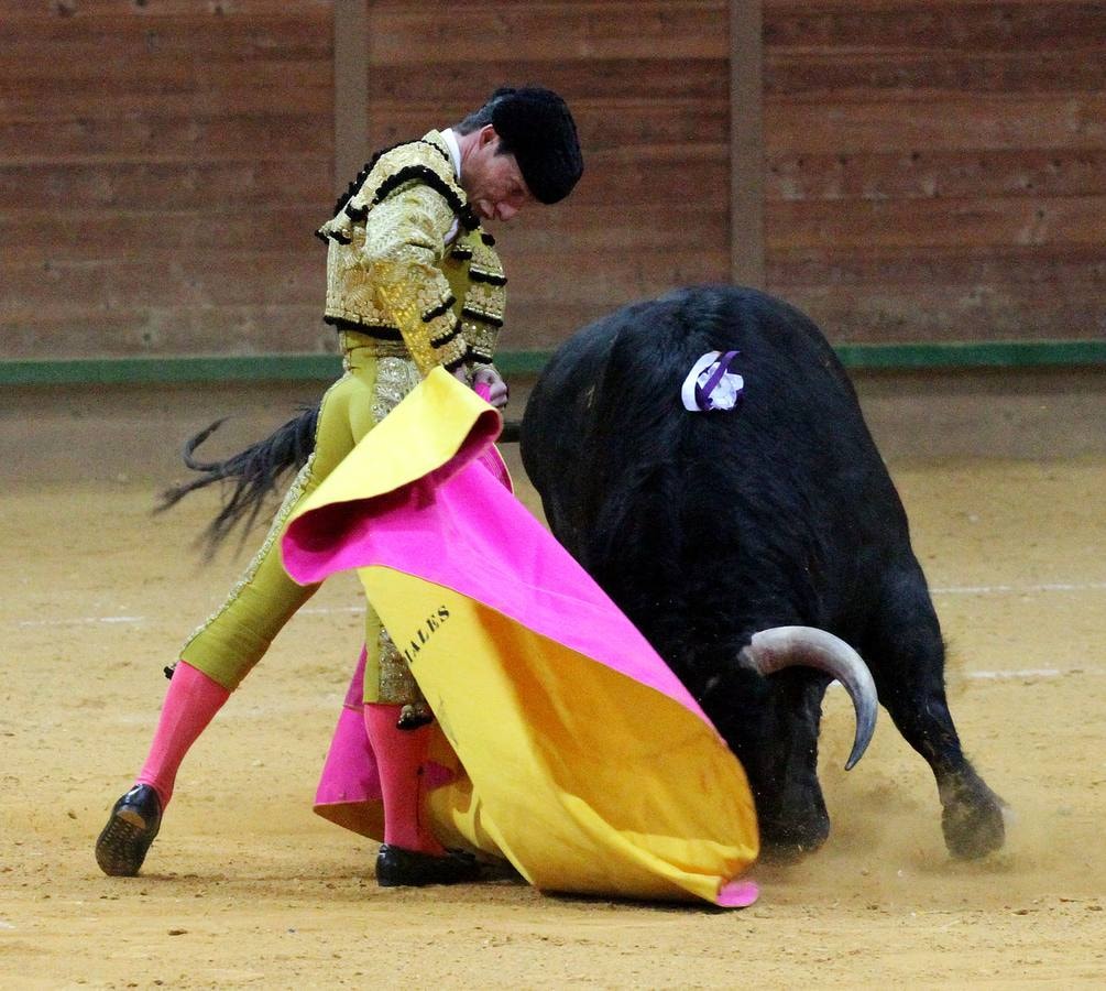 Tomás Campos arrebató con una faena enorme y profunda al sexto y Padilla pasó sin pena ni gloria