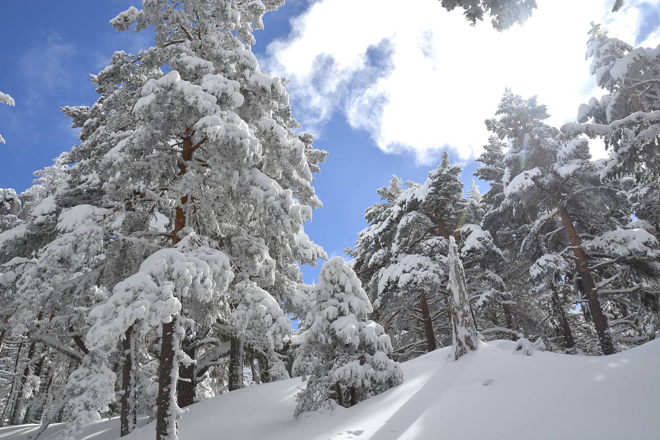 Espectacular paisaje de Sierra Cebollera cubierta por la nieve en este último fin de semana de invierno.