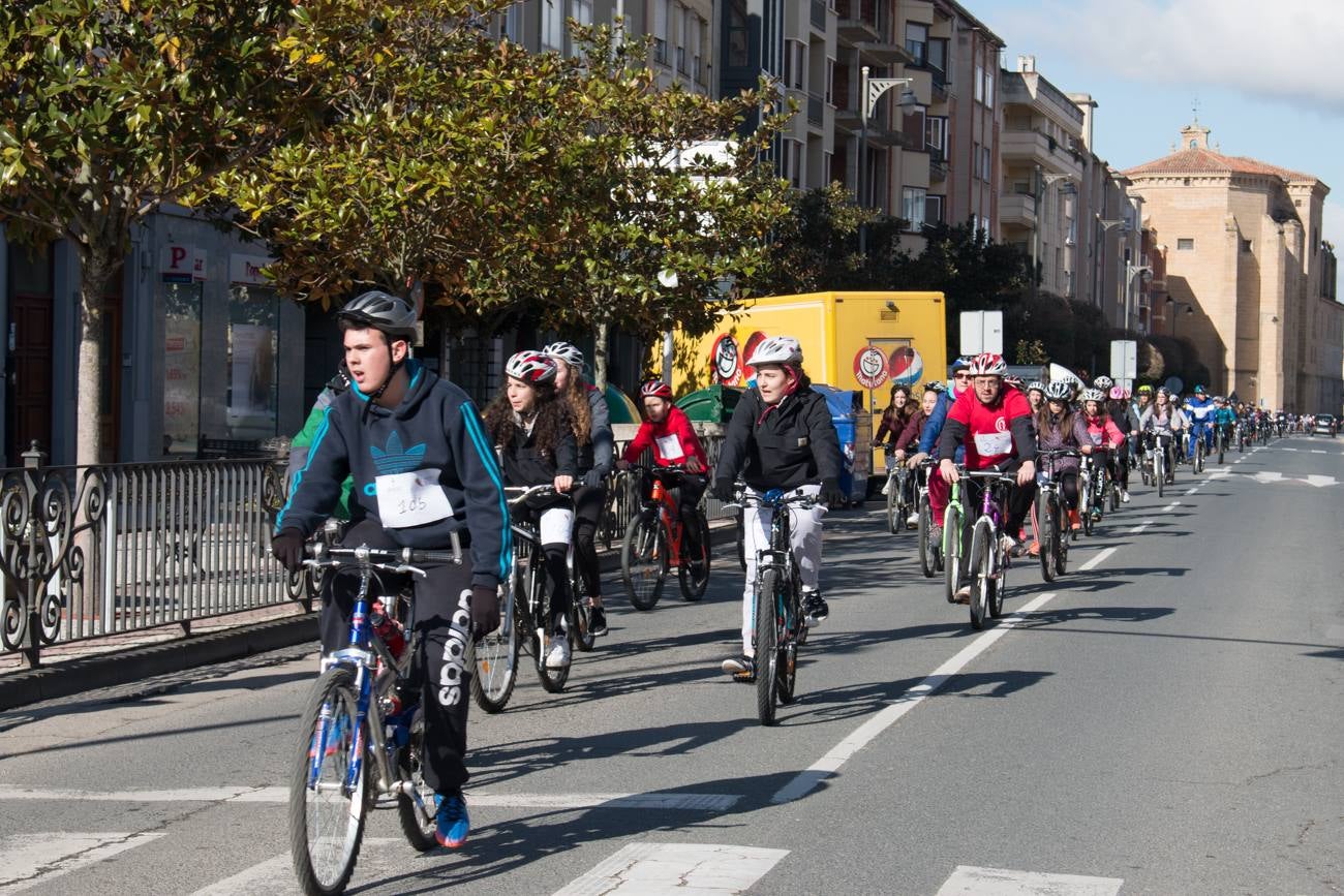 La V Marcha Solidaria en Bicicleta, a beneficio de la AECC ha reunido en Santo Domingo de la Calzada a cerca de 500 personas, la mayoría de ellas escolares.