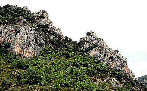 Entorno de la Peña del Cura. :: 