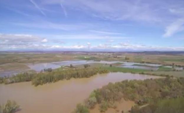 Video de dron de la crecida del Ebro en Alfaro: inundaciones a vista de cigüeña
