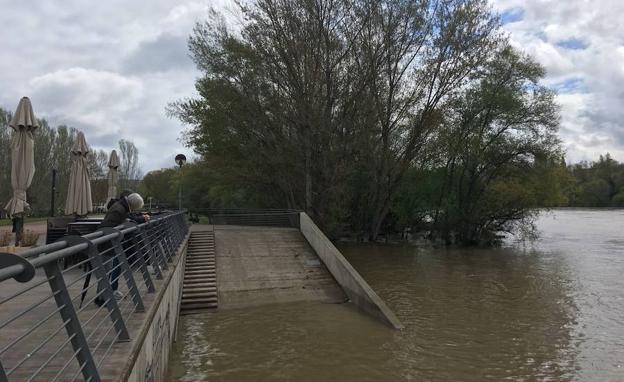 Crecida del Ebro en La Rioja: el caudal desciende en Logroño