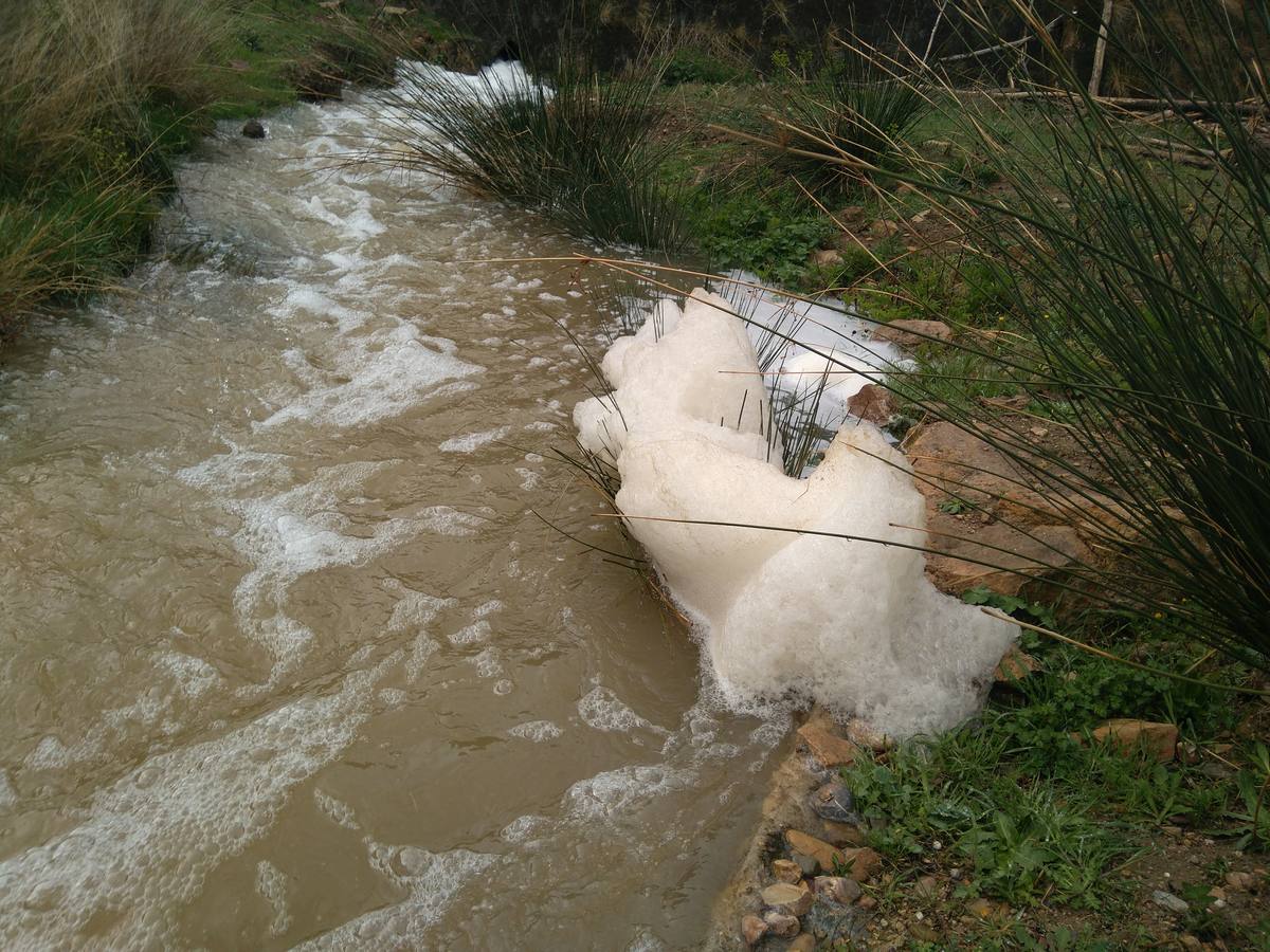 Las lluvias y las nevadas de los últimos meses han provocado el actual aumento de los cauces de los ríos de la comarca de Cervera. El Añamaza, procedente de tierras sorianas ha provocado el llenado del embalse del mismo nombre, en Valdegutur, pedanía de Cervera. Todas las compuertas están abiertas desde hace varios días y ayer el agua continuaba en el límite de la cota de la presa.