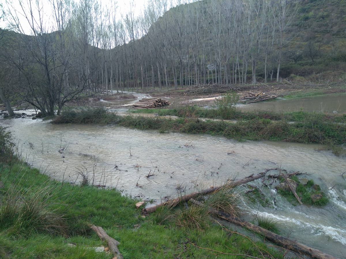 Las lluvias y las nevadas de los últimos meses han provocado el actual aumento de los cauces de los ríos de la comarca de Cervera. El Añamaza, procedente de tierras sorianas ha provocado el llenado del embalse del mismo nombre, en Valdegutur, pedanía de Cervera. Todas las compuertas están abiertas desde hace varios días y ayer el agua continuaba en el límite de la cota de la presa.