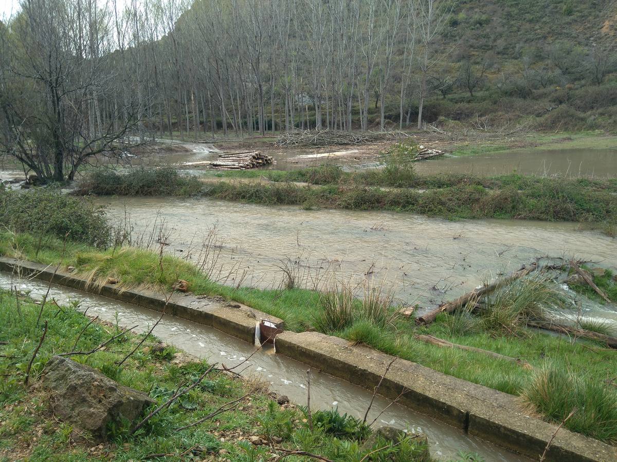 Las lluvias y las nevadas de los últimos meses han provocado el actual aumento de los cauces de los ríos de la comarca de Cervera. El Añamaza, procedente de tierras sorianas ha provocado el llenado del embalse del mismo nombre, en Valdegutur, pedanía de Cervera. Todas las compuertas están abiertas desde hace varios días y ayer el agua continuaba en el límite de la cota de la presa.