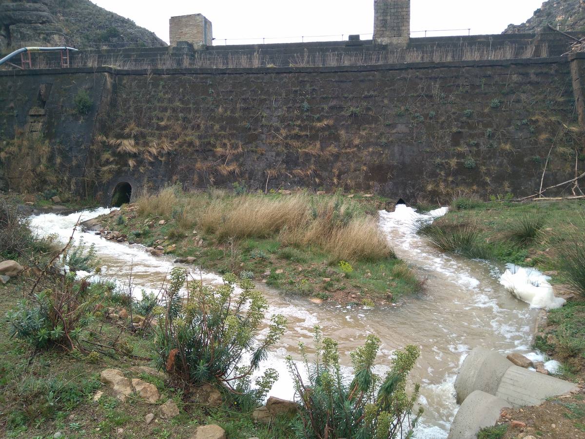 Las lluvias y las nevadas de los últimos meses han provocado el actual aumento de los cauces de los ríos de la comarca de Cervera. El Añamaza, procedente de tierras sorianas ha provocado el llenado del embalse del mismo nombre, en Valdegutur, pedanía de Cervera. Todas las compuertas están abiertas desde hace varios días y ayer el agua continuaba en el límite de la cota de la presa.