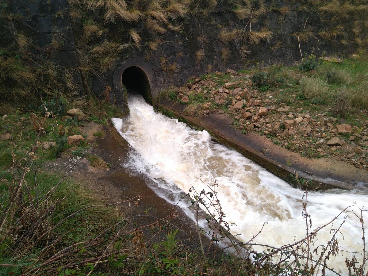 Las lluvias y las nevadas de los últimos meses han provocado el actual aumento de los cauces de los ríos de la comarca de Cervera. El Añamaza, procedente de tierras sorianas ha provocado el llenado del embalse del mismo nombre, en Valdegutur, pedanía de Cervera. Todas las compuertas están abiertas desde hace varios días y ayer el agua continuaba en el límite de la cota de la presa.