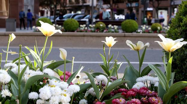 Estampa florida de la ciudad llena con el colorido de las flores. ::