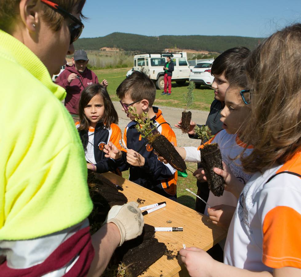 Cuca Gamarra y unos 200 escolares de la ciudad han participado en la tradicional plantación de encinas y pinos en el parque de La Grajera