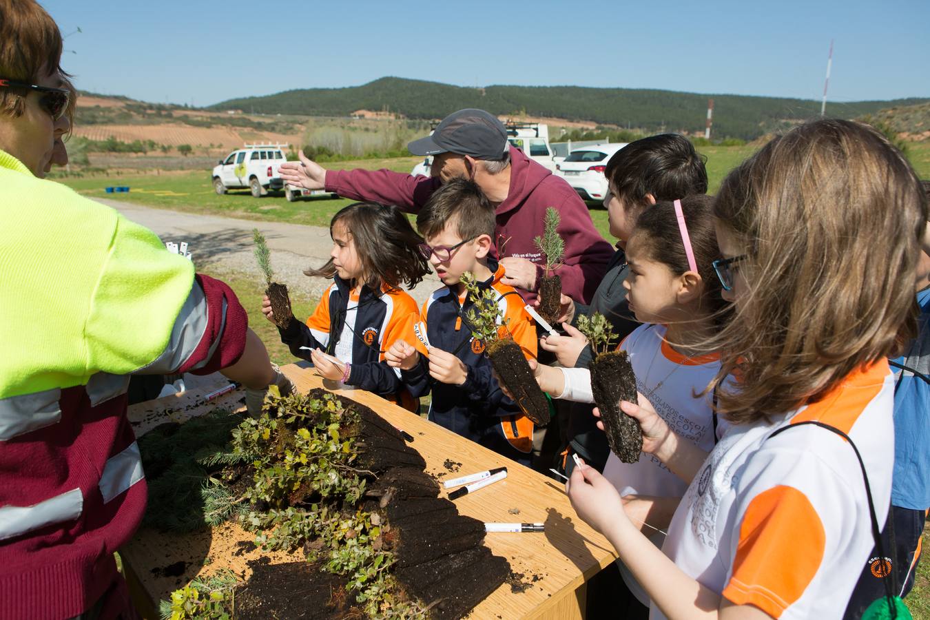 Cuca Gamarra y unos 200 escolares de la ciudad han participado en la tradicional plantación de encinas y pinos en el parque de La Grajera