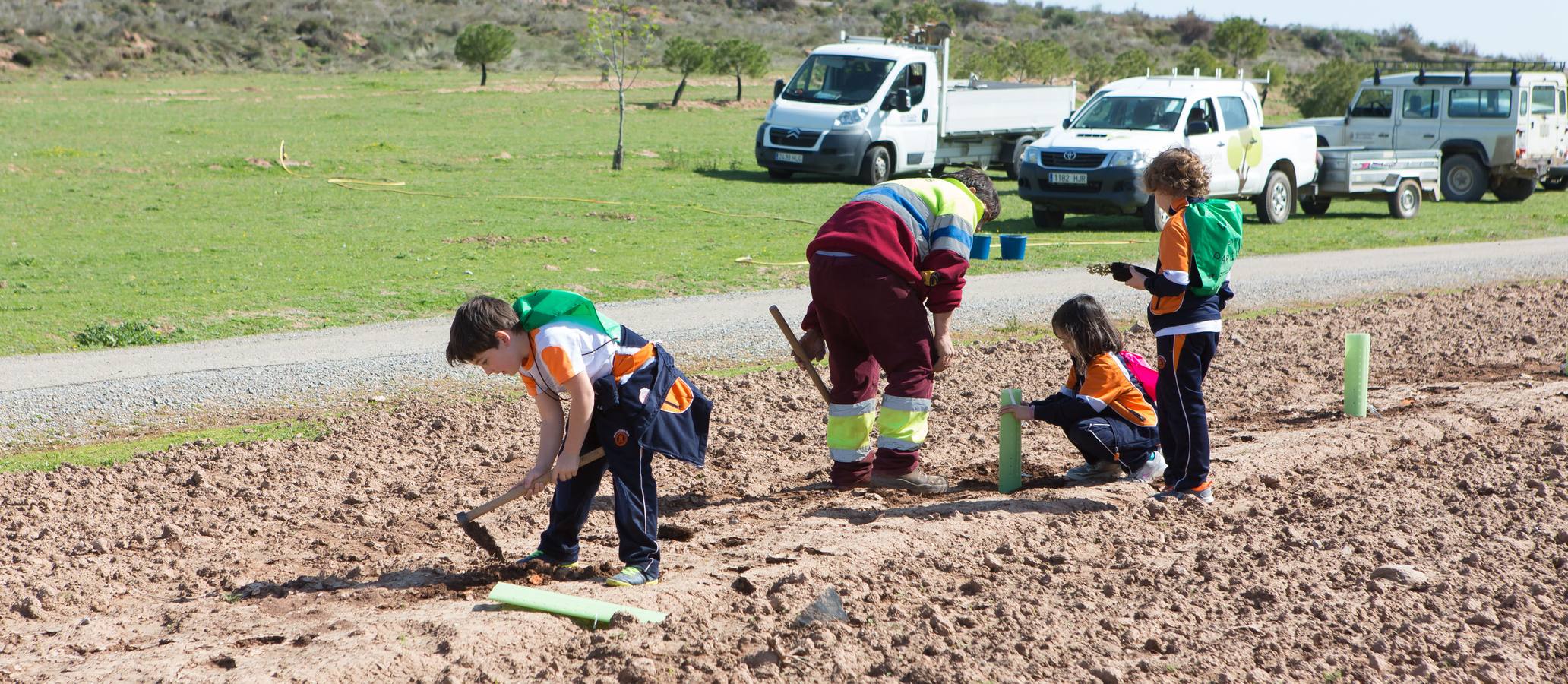 Cuca Gamarra y unos 200 escolares de la ciudad han participado en la tradicional plantación de encinas y pinos en el parque de La Grajera