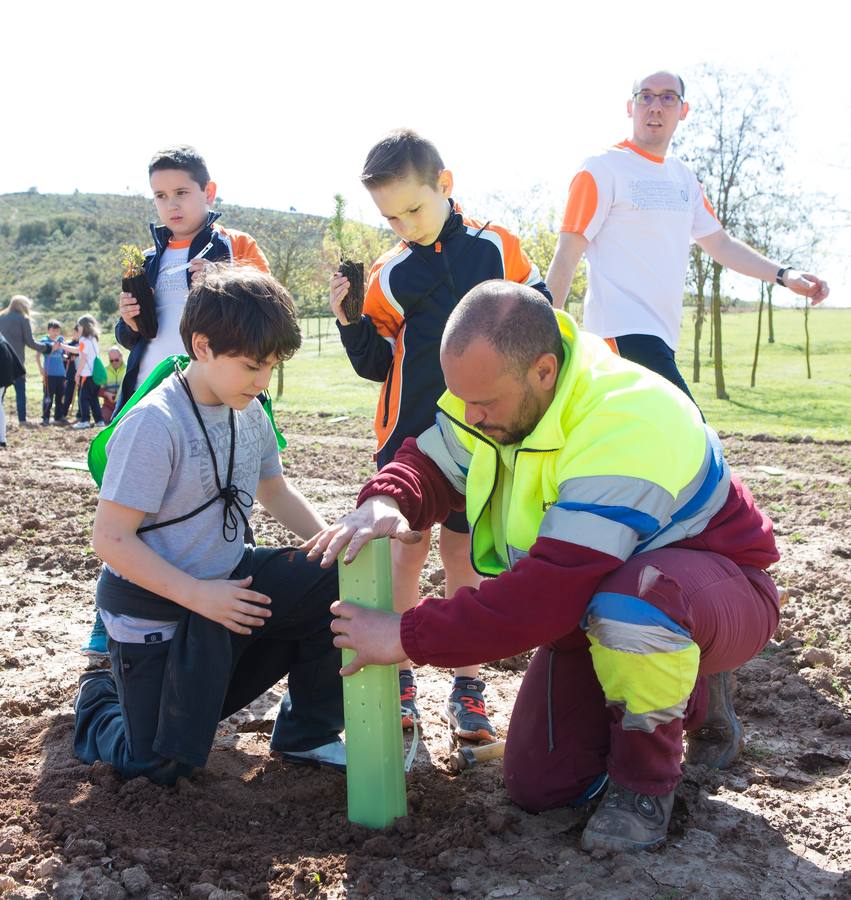 Cuca Gamarra y unos 200 escolares de la ciudad han participado en la tradicional plantación de encinas y pinos en el parque de La Grajera