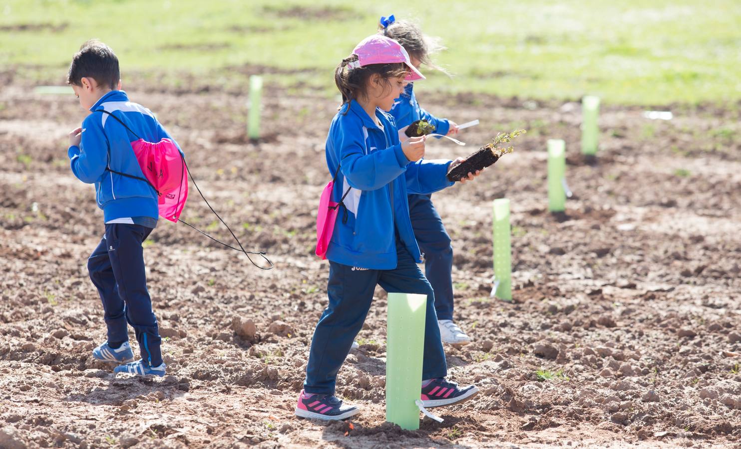 Cuca Gamarra y unos 200 escolares de la ciudad han participado en la tradicional plantación de encinas y pinos en el parque de La Grajera