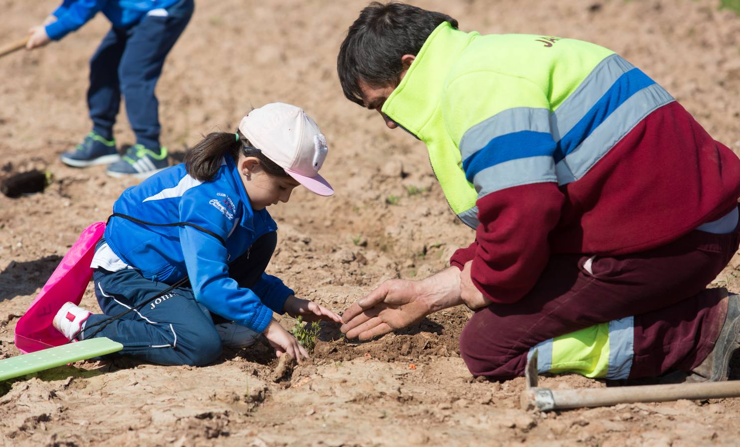 Cuca Gamarra y unos 200 escolares de la ciudad han participado en la tradicional plantación de encinas y pinos en el parque de La Grajera