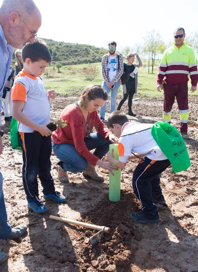 Cuca Gamarra y unos 200 escolares de la ciudad han participado en la tradicional plantación de encinas y pinos en el parque de La Grajera