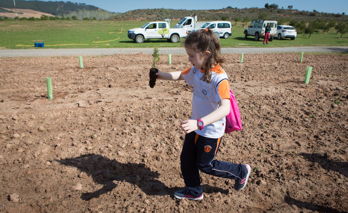 Cuca Gamarra y unos 200 escolares de la ciudad han participado en la tradicional plantación de encinas y pinos en el parque de La Grajera