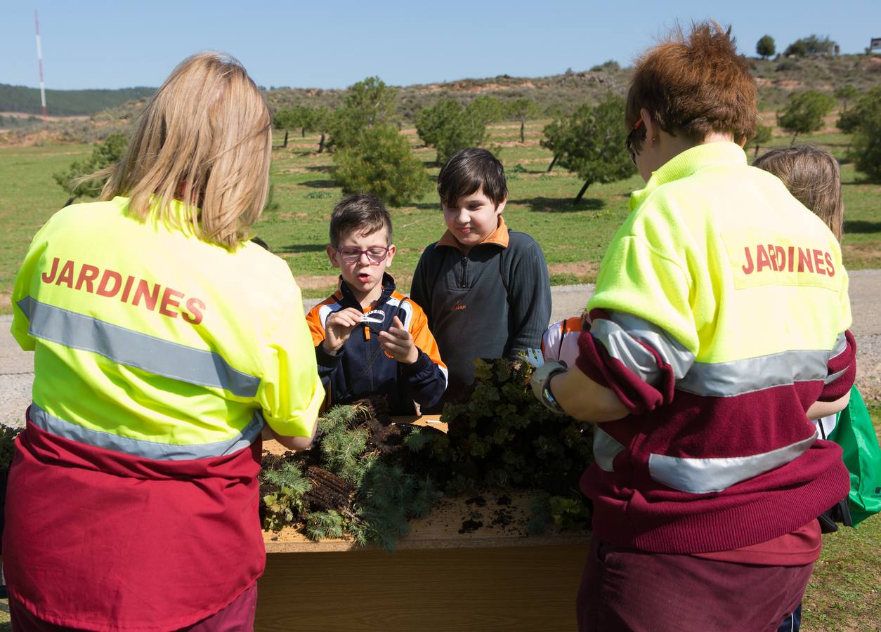 Cuca Gamarra y unos 200 escolares de la ciudad han participado en la tradicional plantación de encinas y pinos en el parque de La Grajera