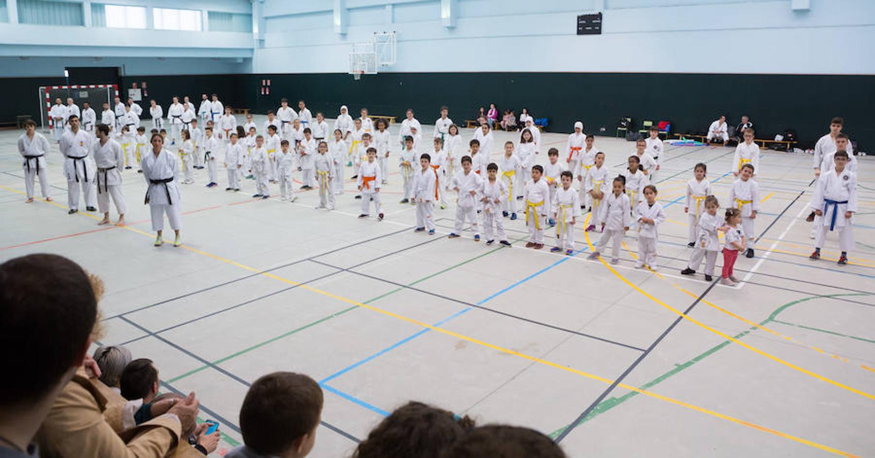 Esta tarde se ha celebrado un entrenamiento solidario en el polideportivo de Lardero. Los gimnasios de kárate Oriente, Pedro Fernández y Total Sport han participado de ia idea solidaria. Para participar sólo había que llevar un kilo de comida para donarlo a Cáritas. 