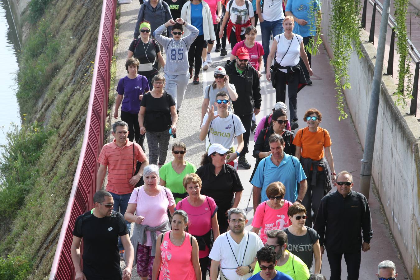 1.400 personas han participado en el tercer Paseo Saludable con destino el Monte Cantabria.