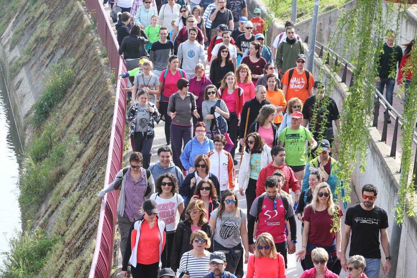 1.400 personas han participado en el tercer Paseo Saludable con destino el Monte Cantabria.